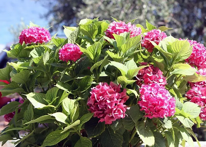 Ana דירה Grebaštica