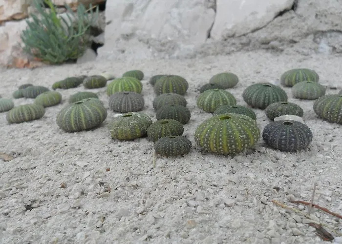 Ana דירה Grebaštica